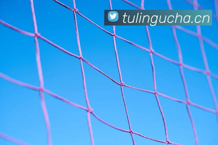 kaiyun中国全站App